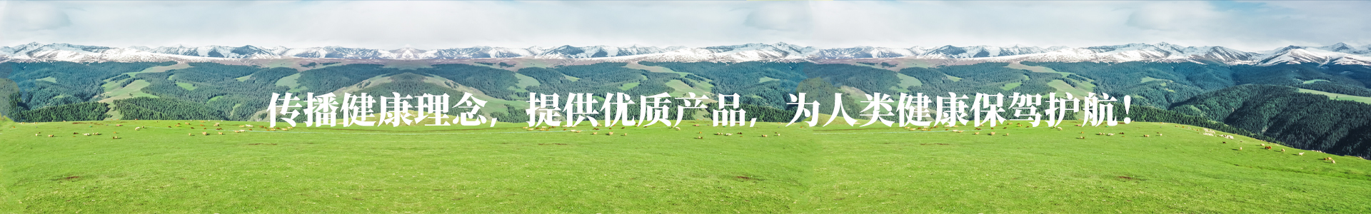 生殖营养食品-山东哈维药业有限公司