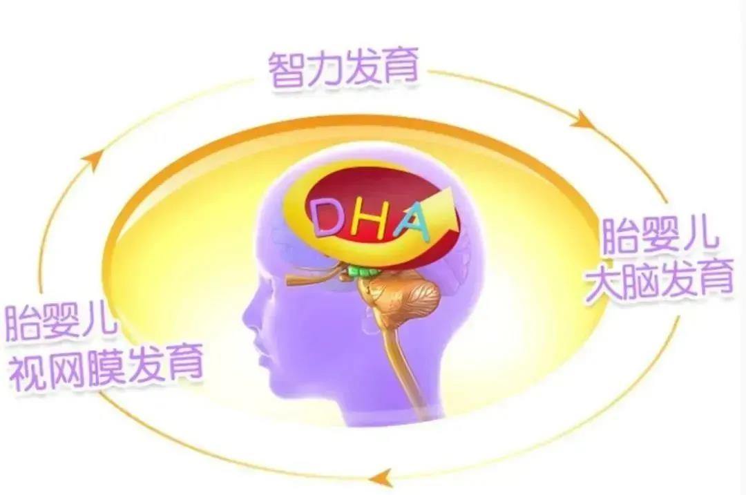 微信图片_20220112164717.jpg