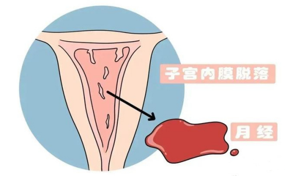 微信图片_20250119101942.png