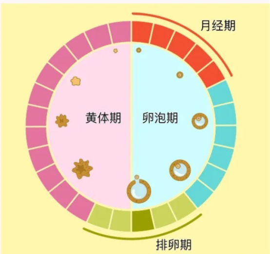 微信图片_20250119101955.png