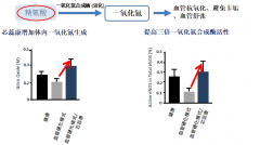 Study on the health care effect of xinruikang on cardiovascu